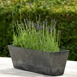 Blumenkasten Ella L55cm Schwarz -Deutschland Gartenbedarf Verkäufe 2024 115059 artstone blumenkasten ella 55cm schwarz mit lavendel