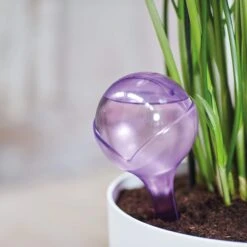 Elho Wasserspender Set Aqua Care Aubergine Auslaufmodell -Deutschland Gartenbedarf Verkäufe 2024 115222 elho wasserspender aubergine beispiel 3