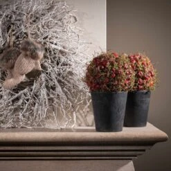 Blumentopf Claire D13 Cm Schwarz 11 Blumentopf Claire D13 Cm Schwarz -Deutschland Gartenbedarf Verkäufe 2024 115294 artstone blumentopf claire 13cm schwarz weihnachtdeko