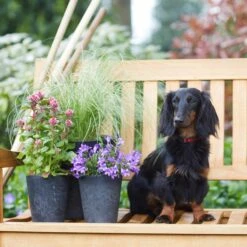 Blumentopf Claire D13 Cm Schwarz 10 Blumentopf Claire D13 Cm Schwarz -Deutschland Gartenbedarf Verkäufe 2024 115296 artstone blumentopf claire 13cm schwarz 1