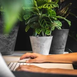 Blumentopf Claire D17cm Grau 9 Blumentopf Claire D17cm Grau -Deutschland Gartenbedarf Verkäufe 2024 115363 artstone blumentoepfe claire schwarz grau buero