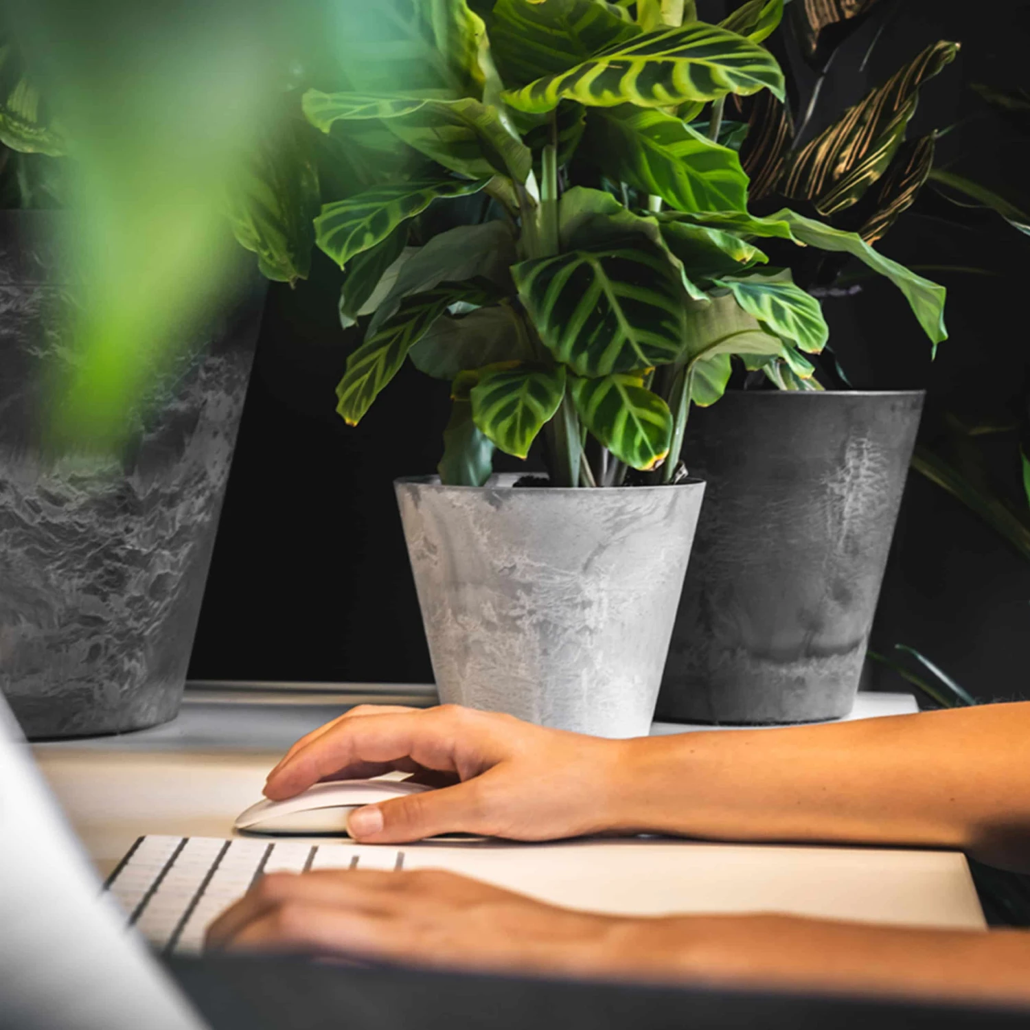 Blumentopf Claire D17cm Grau 5 Blumentopf Claire D17cm Grau – Bild 3