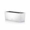 LECHUZA Blumenkasten Balconera Color All-in-One Set L50cm Weiß 1 LECHUZA Blumenkasten Balconera Color All-in-One Set L50cm Weiß -Deutschland Gartenbedarf Verkäufe 2024 116149 lechuza balconera color 50cm weiss