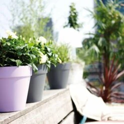 Elho Blumenkübel Loft Urban Rund 40cm Mit Rollen Anthrazit -Deutschland Gartenbedarf Verkäufe 2024 117783 elho loft urban blumenkuebel 40cm mit rollen anthrazit 2