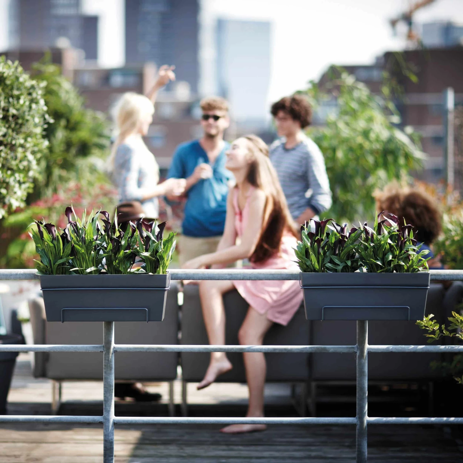 Elho Blumenkasten-Set Loft Urban All-in-One L50cm Anthrazit 5 Elho Blumenkasten-Set Loft Urban All-in-One L50cm Anthrazit – Bild 3