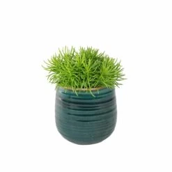 Keramik-Blumentopf Iris D14cm Türkis -Deutschland Gartenbedarf Verkäufe 2024 117918 tsi blumentopf iris mit tuerkis pflanze