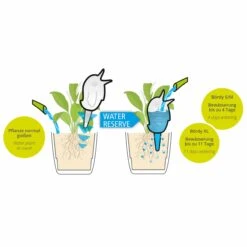 2er Set Outdoor-Wasserspender Bördy XL Champagne Pearl -Deutschland Gartenbedarf Verkäufe 2024 118016 scheurich wasserspender boerdy erklaerung