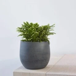 Blumentopf Esra D18cm Grau -Deutschland Gartenbedarf Verkäufe 2024 118285 blumentopf esra grau