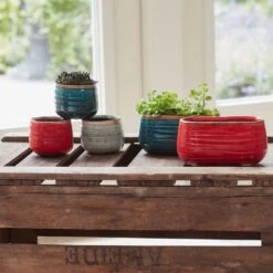 Keramik-Blumentopf Iris D6,5 Cm Mint 5 Keramik-Blumentopf Iris D6,5 Cm Mint -Deutschland Gartenbedarf Verkäufe 2024 118718 ts indoor blumentopf keramik iris tuerkis 6cm