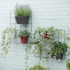 Elho Pflanzgefäß Loft Urban Green Wall Duo 28 Cm Anthrazit -Deutschland Gartenbedarf Verkäufe 2024 118965 elho loft urban green wall bepflanzt 1