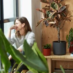 Elho Blumentopf B. For Soft Rund D25 Cm Anthrazit 5 Elho Blumentopf B. For Soft Rund D25 Cm Anthrazit -Deutschland Gartenbedarf Verkäufe 2024 120124 elho b for soft rund 35cm grau 2