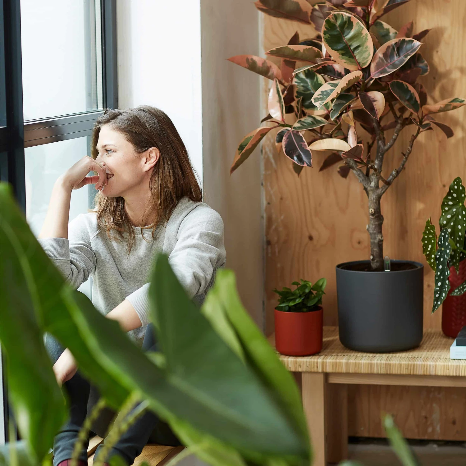 Elho Blumentopf B. For Soft Rund D25 Cm Anthrazit 4 Elho Blumentopf B. For Soft Rund D25 Cm Anthrazit – Bild 2