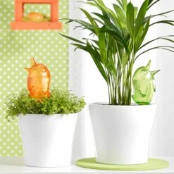 Outdoor-Wasserspender Bördy M 2er Pack Grün -Deutschland Gartenbedarf Verkäufe 2024 120295 scheurich wasserspender brdy green m 2