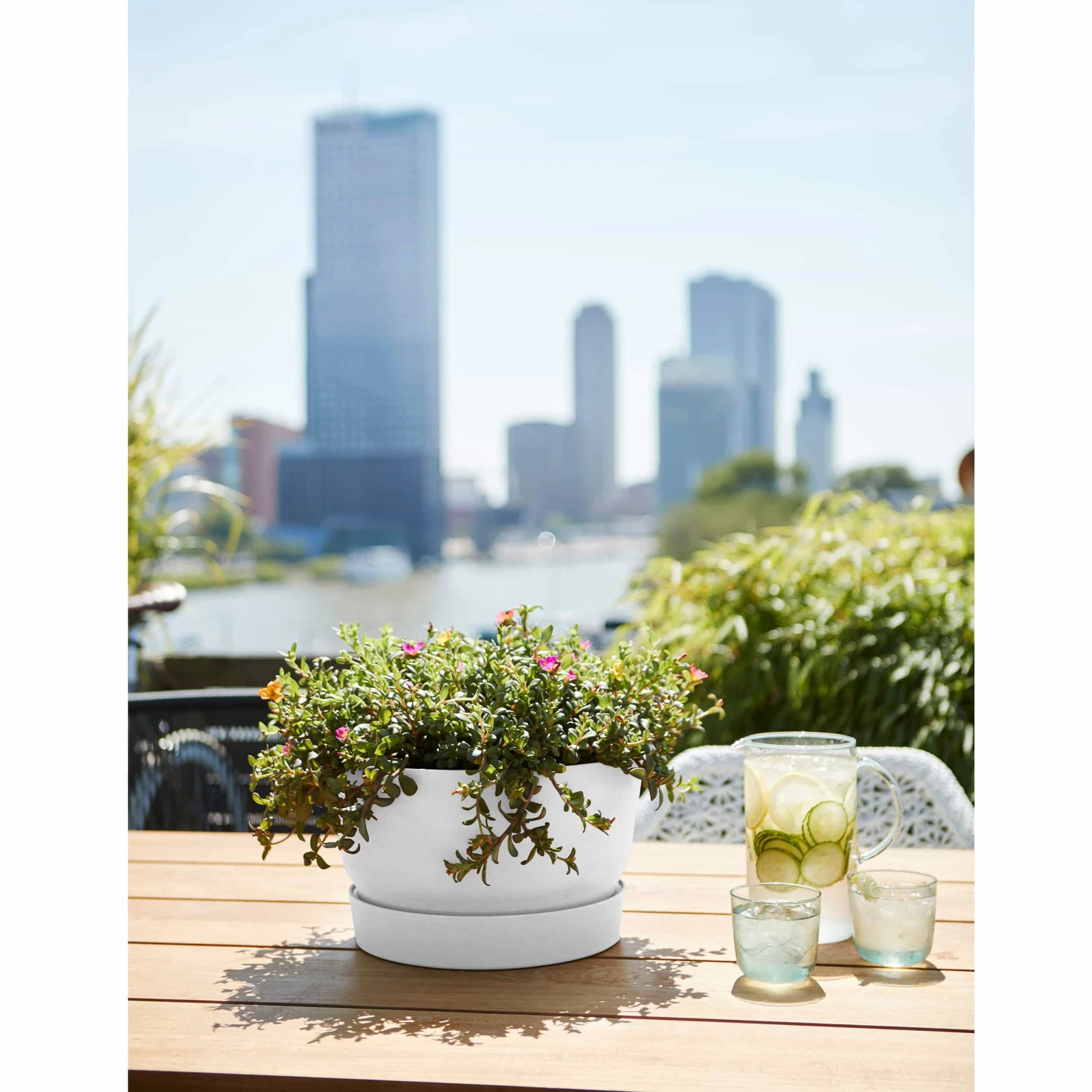 Elho Blumenschale Greenville D33 Cm Weiß 4 Elho Blumenschale Greenville D33 Cm Weiß – Bild 2