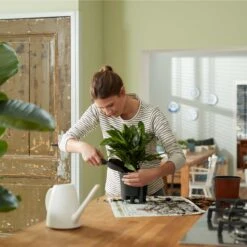 Selbstbewässerungssystem Elho Schwarz 17 Cm -Deutschland Gartenbedarf Verkäufe 2024 121593 elho selbstbewsserungssystem schwarz verschiedene groessen 3