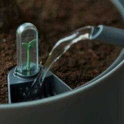 Selbstbewässerungssystem Elho Schwarz 17 Cm -Deutschland Gartenbedarf Verkäufe 2024 121595 elho selbstbewsserungssystem schwarz verschiedene groessen 4