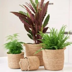 Blumentopf Nelis D28 Cm -Deutschland Gartenbedarf Verkäufe 2024 126229 blumentopf natur nelis 28cm