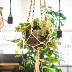 Blumentopf Aufhängung Macramee L125 Cm Auslaufmodell -Deutschland Gartenbedarf Verkäufe 2024 126585 tsi makramee l125cm natur 1