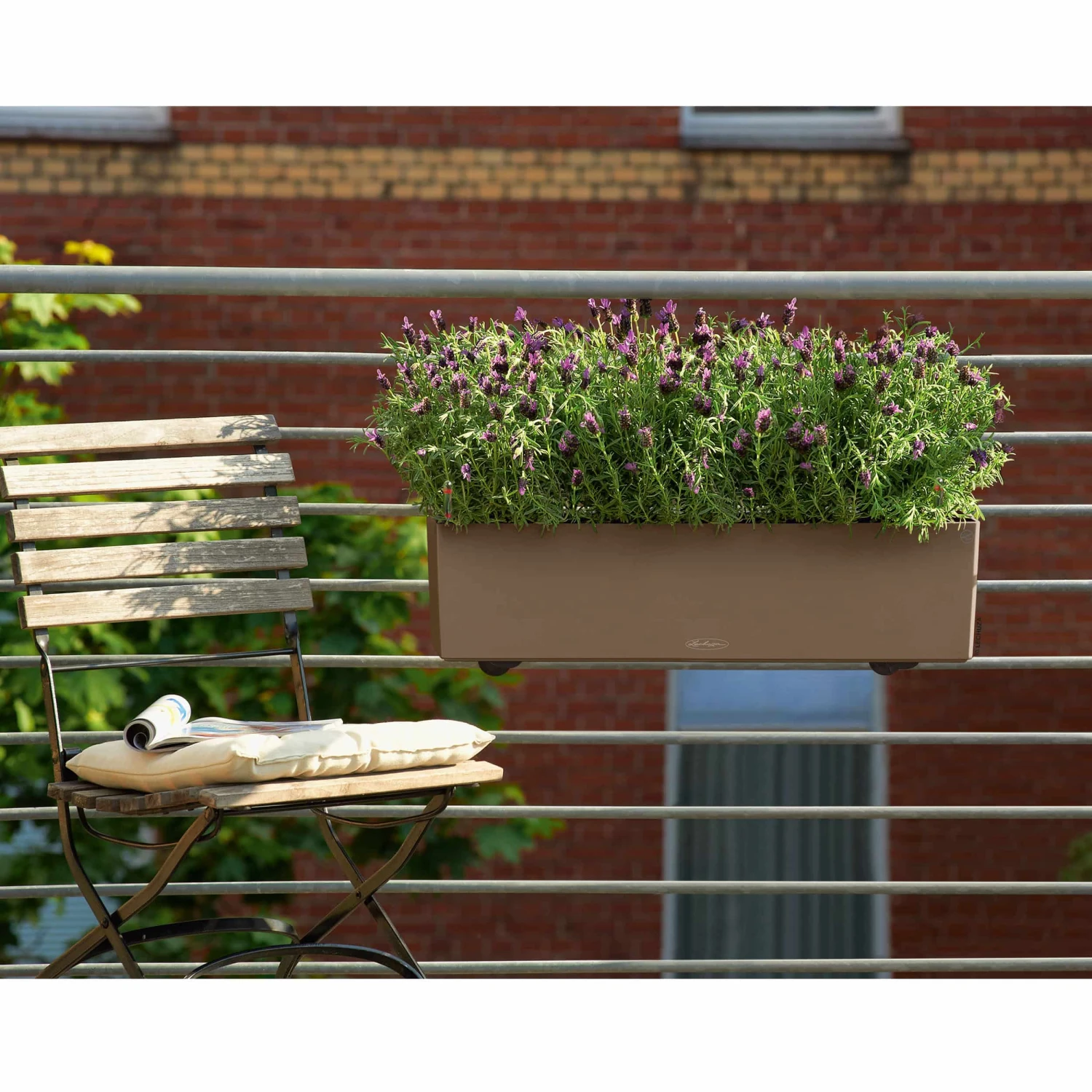 LECHUZA Blumenkasten Balconera Color All-in-One Set L80cm Muskat 8 LECHUZA Blumenkasten Balconera Color All-in-One Set L80cm Muskat – Bild 6