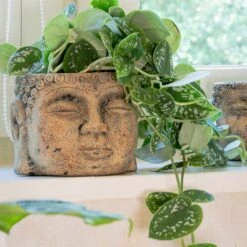 Blumentopf Buddha D11 Cm Sand Auslaufmodell -Deutschland Gartenbedarf Verkäufe 2024 152093 tsi blumentopf buddha terra mit scindapsusjpg