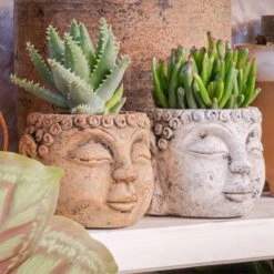 Blumentopf Buddha D11 Cm Sand Auslaufmodell -Deutschland Gartenbedarf Verkäufe 2024 152094 ts indoor blumentopf buddha 2