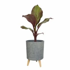 2er Set Blumentopf Riva Auslaufmodell -Deutschland Gartenbedarf Verkäufe 2024 152157 ts indoor topf riva 4