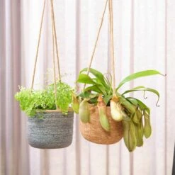 Hänge-Blumentopf Igmar D17 Cm Grau Auslaufmodell -Deutschland Gartenbedarf Verkäufe 2024 152177 ts indoor blumenampel igmar duo 1