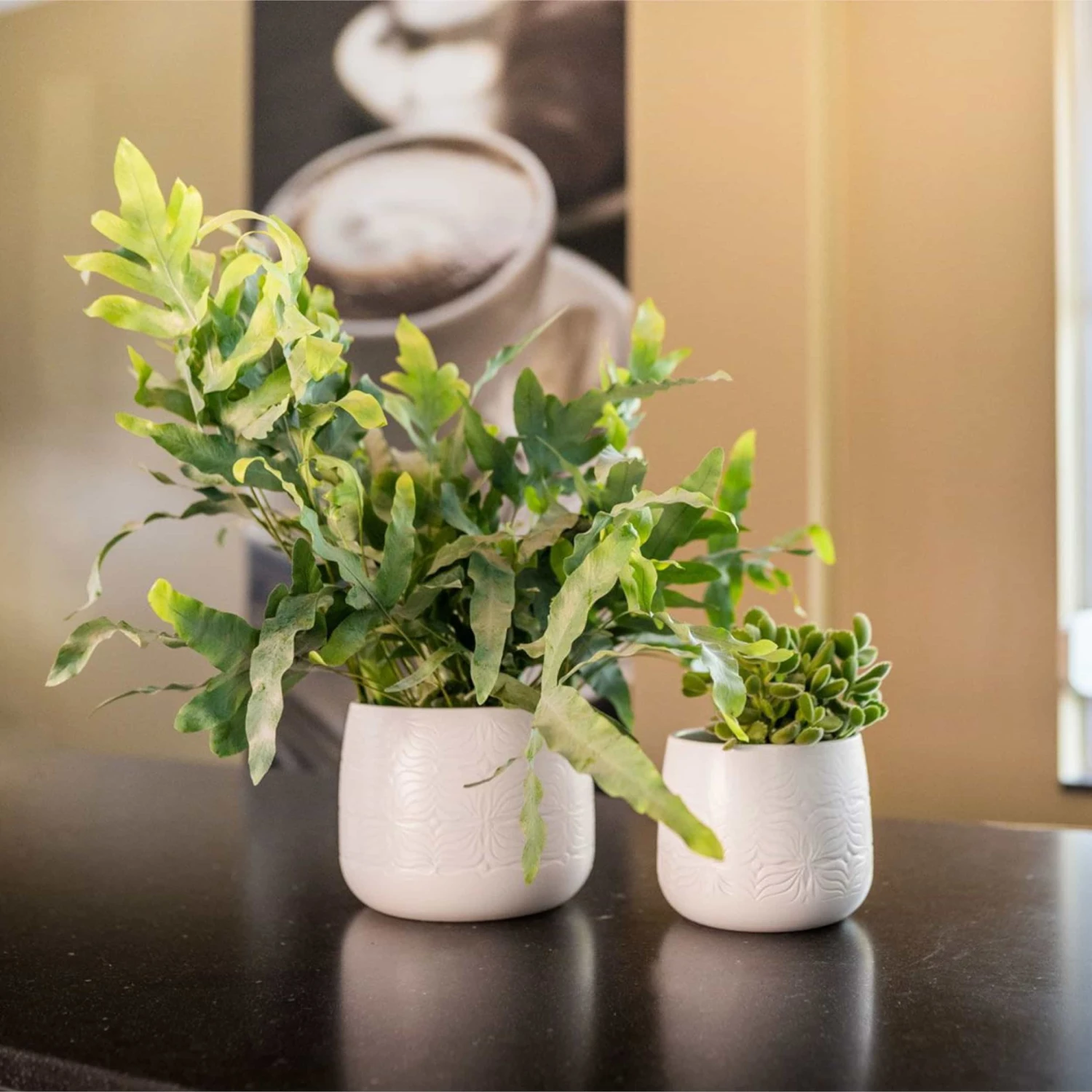 Übertopf Sytse D19 Cm Matt Weiß Auslaufmodell 4 Übertopf Sytse D19 Cm Matt Weiß Auslaufmodell – Bild 2