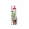2er Set Wasserspeicher Lighthouse XL Rot 1 2er Set Wasserspeicher Lighthouse XL Rot -Deutschland Gartenbedarf Verkäufe 2024 153409 wasserspeicher lighthouse xl rot