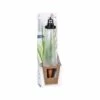 2er Set Wasserspeicher Lighthouse XL Schwarz -Deutschland Gartenbedarf Verkäufe 2024 153410 wasserspeicher lighthouse xl schwarz