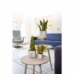 Keramik-Übertopf Cilla D17 Cm Weiß Auslaufmodell -Deutschland Gartenbedarf Verkäufe 2024 154153 tersteege tsindoor keramik blumentopf cilla weiss d17cm 3er set