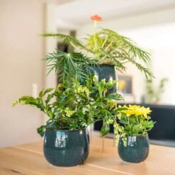 Keramik-Blumentopf Odile D19 Cm Petrol -Deutschland Gartenbedarf Verkäufe 2024 154213 tersteege tsindoor keramik blumentopf odile petrol 3er set