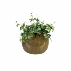 Keramik-Blumentopf Odile D19 Cm Sahara Auslaufmodell -Deutschland Gartenbedarf Verkäufe 2024 154218 tersteege tsindoor keramik blumentopf odile sahara d19cm mit pflanze