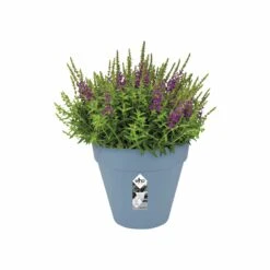 Elho Pflanztopf Loft Urban Rund D20 Cm Vintage Blau -Deutschland Gartenbedarf Verkäufe 2024 154730 pflanztopf loft urban rund d20 cm vintage blau 2