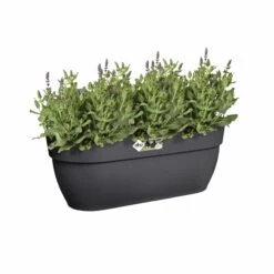 Elho Hängetopf Vibia Campana Easy Hanger L46 Cm Anthrazit 14 Elho Hängetopf Vibia Campana Easy Hanger L46 Cm Anthrazit -Deutschland Gartenbedarf Verkäufe 2024 154970 haengetopf vibia campana easy hanger l46 cm anthrazit 3