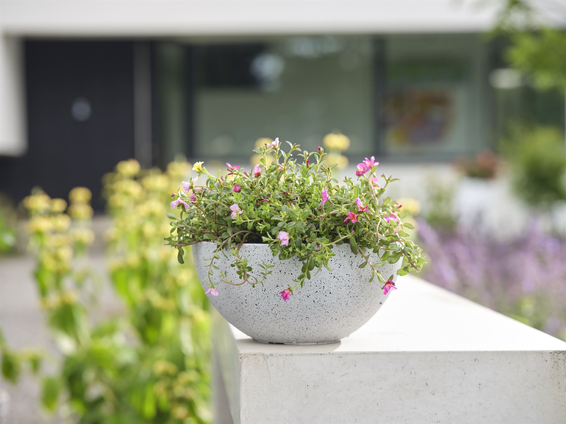 Deutschland Gartenbedarf Verkäufe 2024 9 Deutschland Gartenbedarf Verkäufe 2024 -Deutschland Gartenbedarf Verkäufe 2024 160356 1