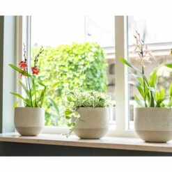 Keramik-Blumentopf Iris D12,5 Cm Sand Auslaufmodell -Deutschland Gartenbedarf Verkäufe 2024 178601 tsi blumentopf iris sand 12 5cm 1