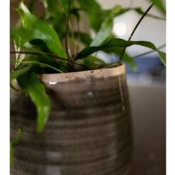 Keramik-Blumentopf Iris D15cm Moos Grau -Deutschland Gartenbedarf Verkäufe 2024 178628 tsi blumentopf iris moos grau 15cm detail