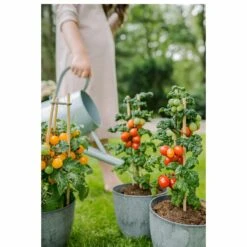 Blumentopf Bola D17 Cm Grau 9 Blumentopf Bola D17 Cm Grau -Deutschland Gartenbedarf Verkäufe 2024 179134 artstone bola 17 cm grau mit tomaten