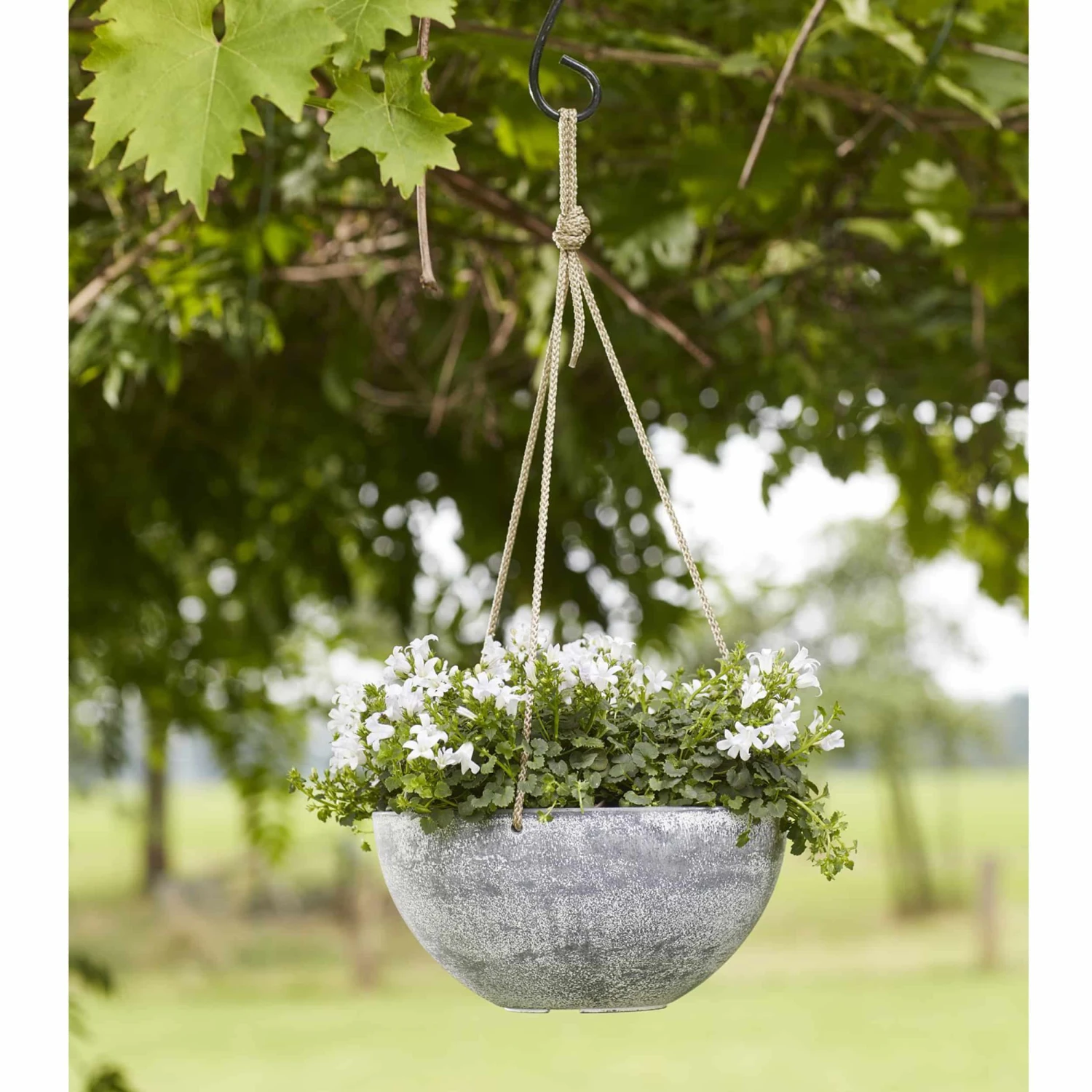 Blumenampel Nova D25cm Hellgrau 4 Blumenampel Nova D25cm Hellgrau – Bild 2