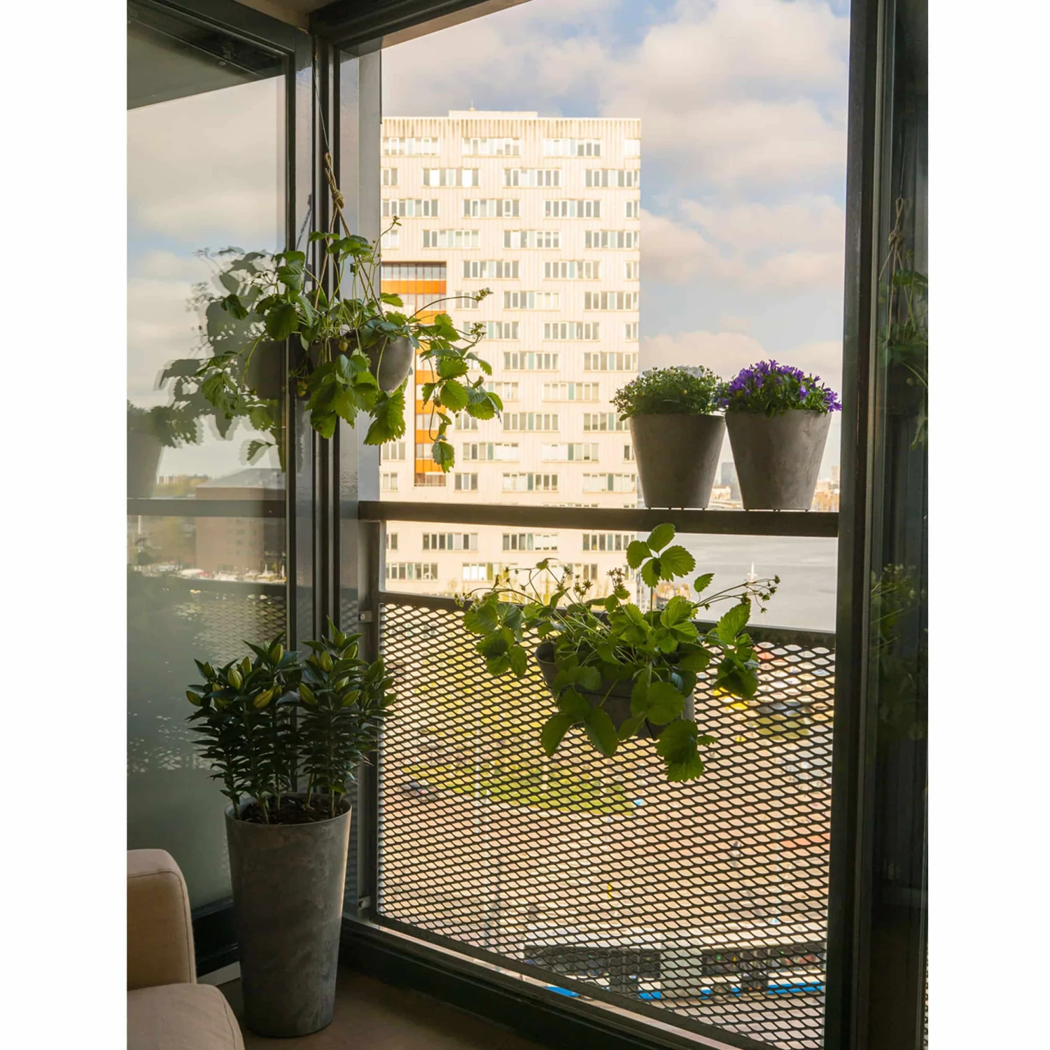 Blumentopf Claire D17cm Grau 7 Blumentopf Claire D17cm Grau – Bild 5