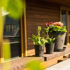 Blumentopf Claire D13 Cm Schwarz 8 Blumentopf Claire D13 Cm Schwarz -Deutschland Gartenbedarf Verkäufe 2024 189067 artstone blumentopf claire 13cm schwarz auf balkon