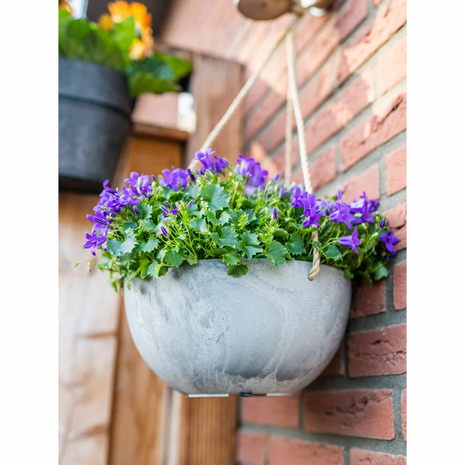 Blumenampel Fiona D31cm Grau 4 Blumenampel Fiona D31cm Grau – Bild 2