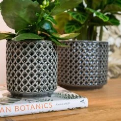 Blumentopf Thies D17 Cm Anthrazit Auslaufmodell -Deutschland Gartenbedarf Verkäufe 2024 227250 tsi blumixx blumentopf thies anthrazit 17cm detail