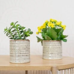 Übertopf Hera D13 Cm Beige -Deutschland Gartenbedarf Verkäufe 2024 227889 blumixx tsi keramik blumentopf hera 13cm beige sukkulente min