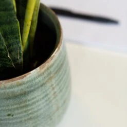 Keramik-Blumentopf Iris D14cm Mint -Deutschland Gartenbedarf Verkäufe 2024 228039 blumixx tsi keramik blumentopf iris mint 14cm detail