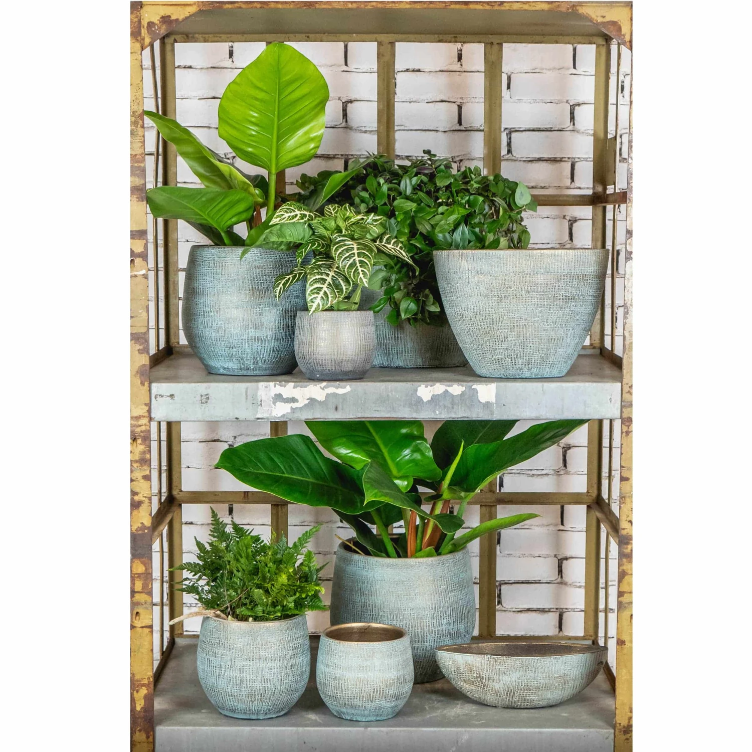 Blumentopf Ryan D13 Cm Mint/gold 4 Blumentopf Ryan D13 Cm Mint/gold – Bild 2