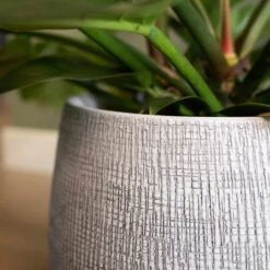 Blumentopf Ryan D15 Cm White Black 7 Blumentopf Ryan D15 Cm White Black -Deutschland Gartenbedarf Verkäufe 2024 229050 blumixx tsi kerami blumentopf ryan white black detail