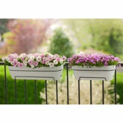 Elho Balkonkasten Vibia Campana All-in-One L50 Cm Weiß -Deutschland Gartenbedarf Verkäufe 2024 239181 elho vibia campana all in one weiss