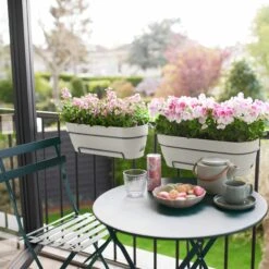 Elho Balkonkasten Vibia Campana All-in-One L50 Cm Weiß -Deutschland Gartenbedarf Verkäufe 2024 239182 elho vibia campana all in one weiss 50cm balkon